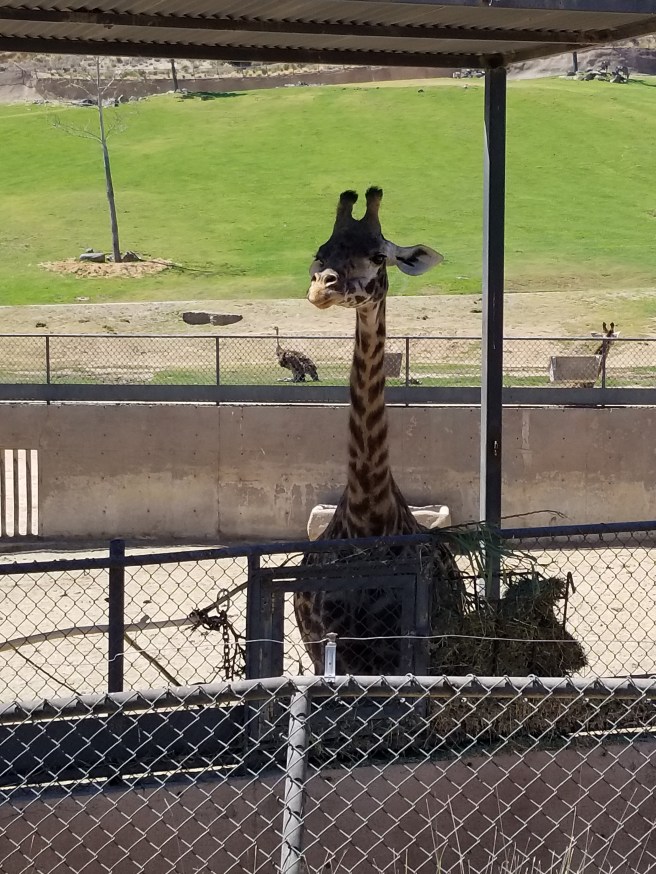 20170616_144614.jpg