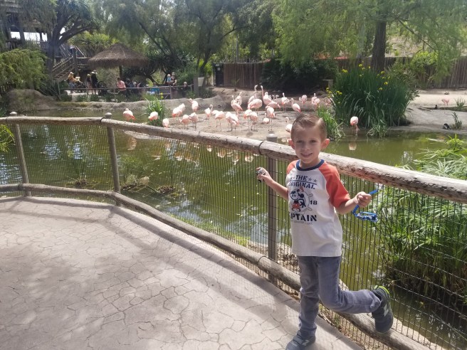 20180415_125637.jpg