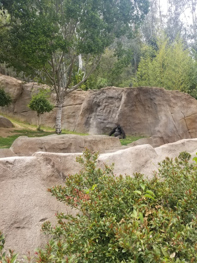 20180415_140344.jpg