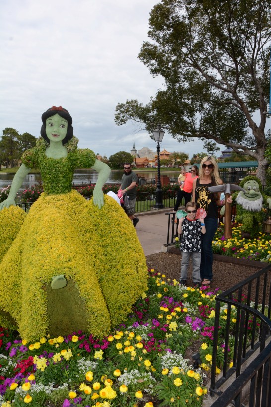 wdw2017066681242540_7970182480_dsnyRes-base_dsnyLoc-reg.jpeg