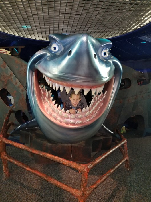 20180307_121343.jpg