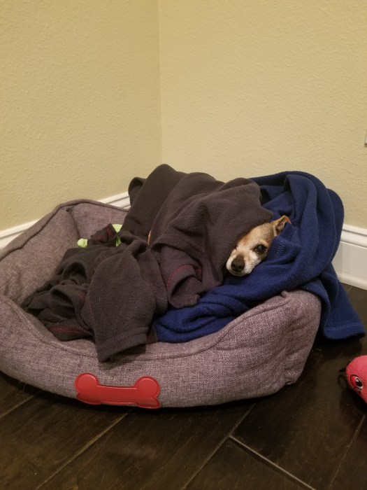20180501_211451.jpg