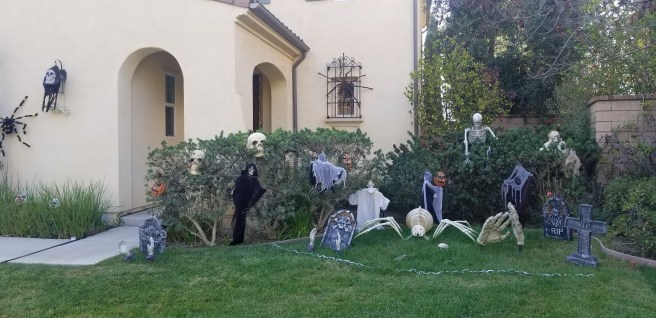 20181025_155341.jpg