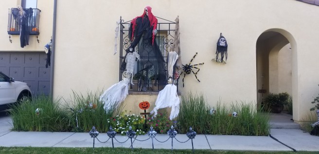 20181025_155400.jpg