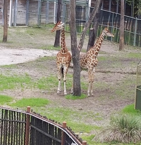 20190228_104456.jpg
