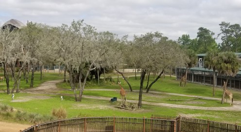 20190228_105836.jpg