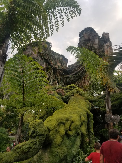 20190301_173720.jpg