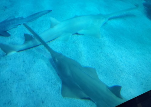 20190729_140205.jpg