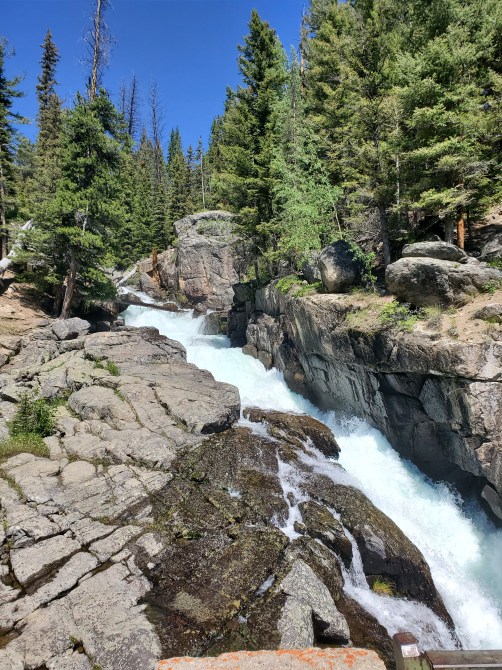 20190802_131817.jpg