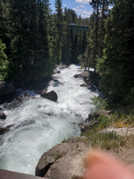 20190802_132015.jpg