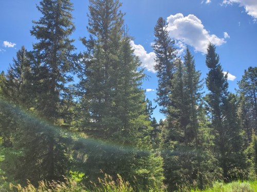 20190802_132146.jpg