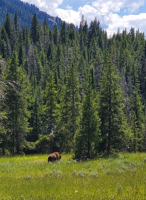 20190802_143059.jpg