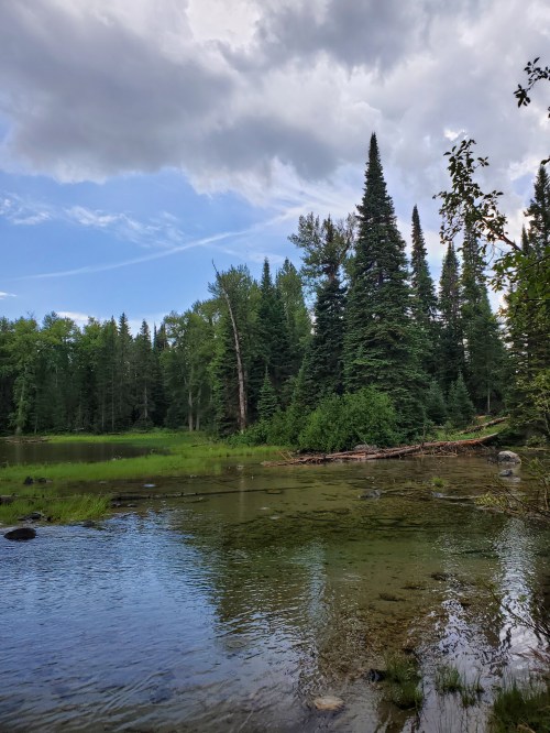 20190804_130843.jpg