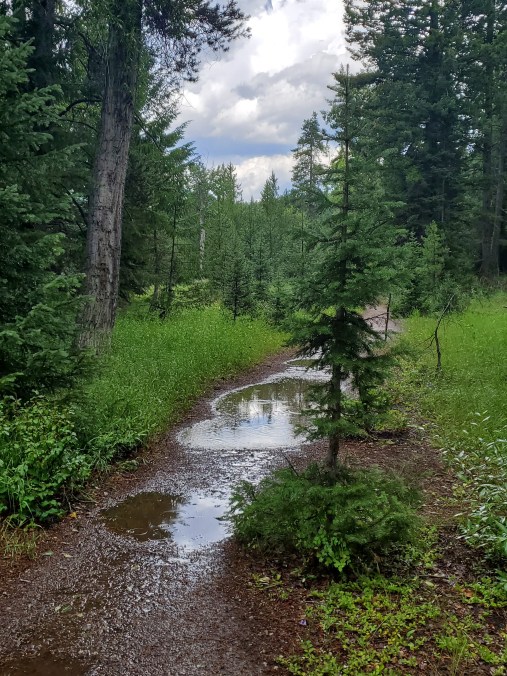 20190804_131752.jpg