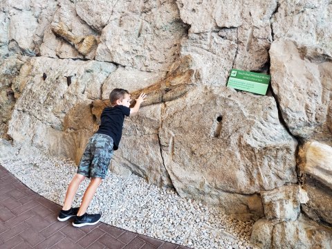 20190805_1658282630757448176660714.jpg